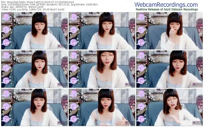 2024/07/10/stripchat-a0513-18-25-36