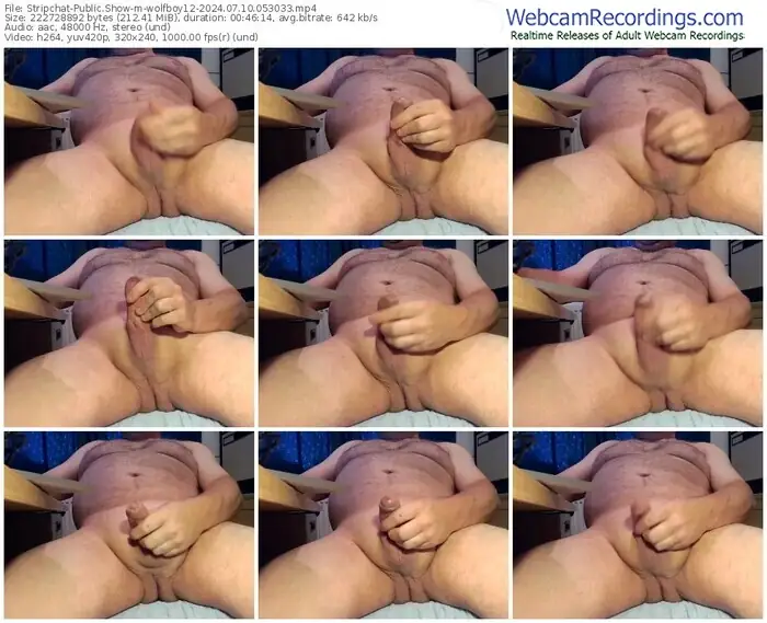 2024/07/10/stripchat-wolfboy12-05-30-33
