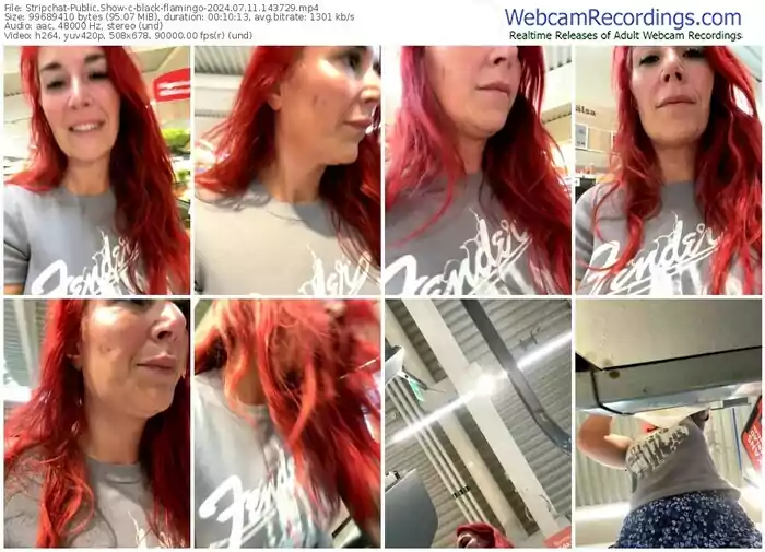 2024/07/11/stripchat-black-flamingo-14-37-29