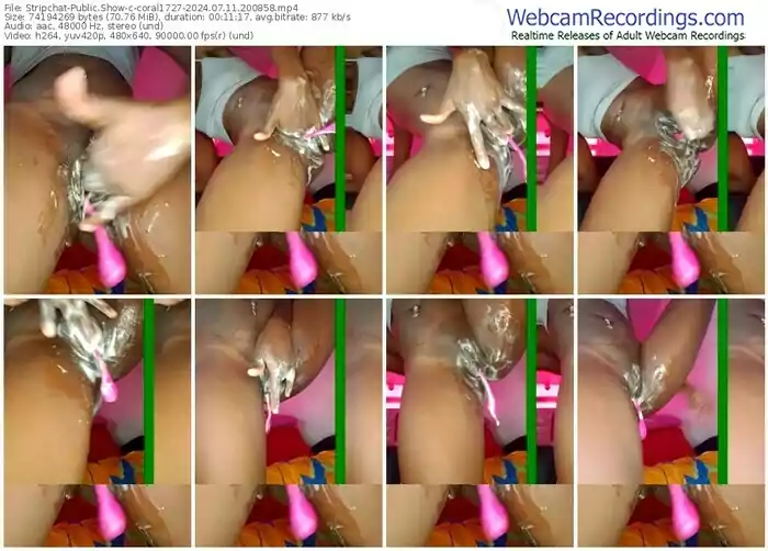 2024/07/11/stripchat-coral1727-20-08-58