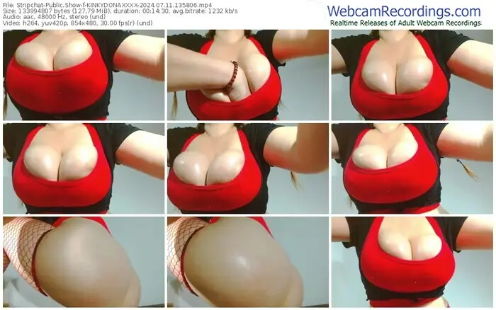 2024/07/11/stripchat-kinkydonaxxxx-13-58-06