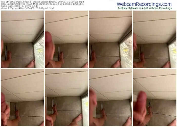 2024/07/11/stripchat-orgasmusspender6969-15-45-35