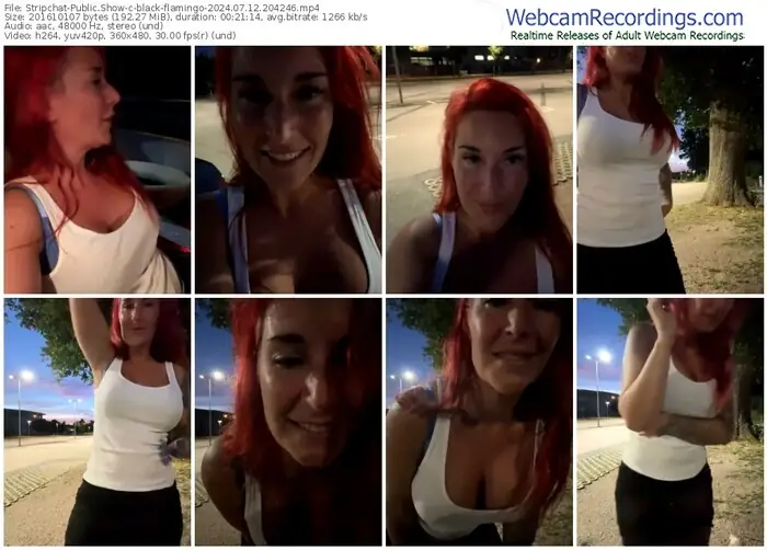 2024/07/12/stripchat-black-flamingo-20-42-46