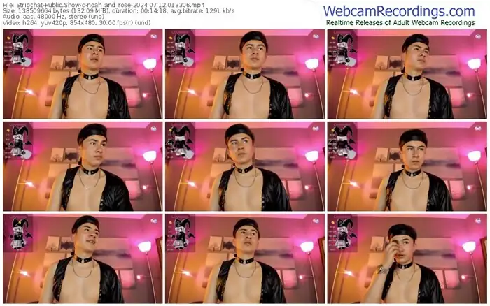 2024/07/12/stripchat-noah_and_rose-01-33-06