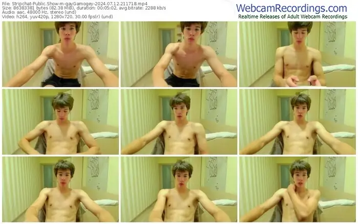 2024/07/12/stripchat-gaygamogey-21-17-18