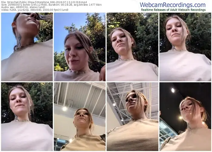 2024/07/13/stripchat-morphine_666-10-13-18