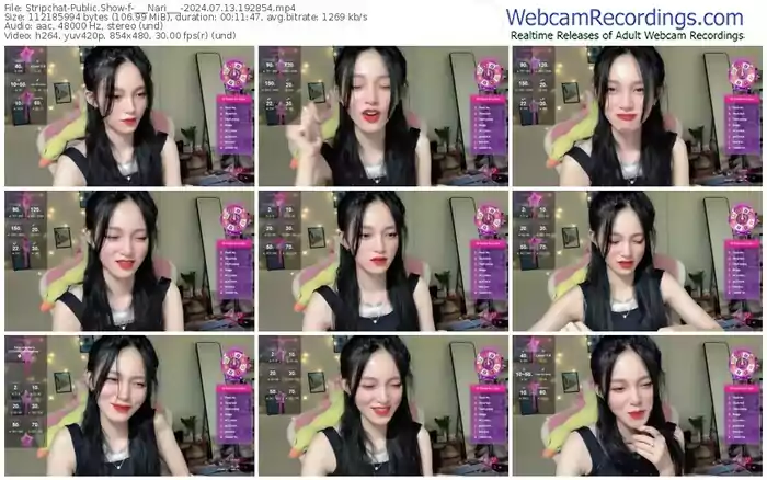 2024/07/13/stripchat-___nari___-19-28-54