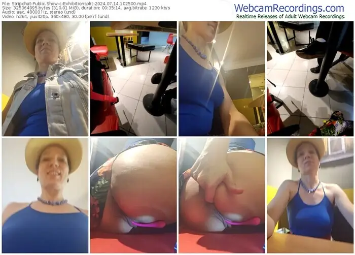 2024/07/14/stripchat-exhibitionsplit-10-25-00