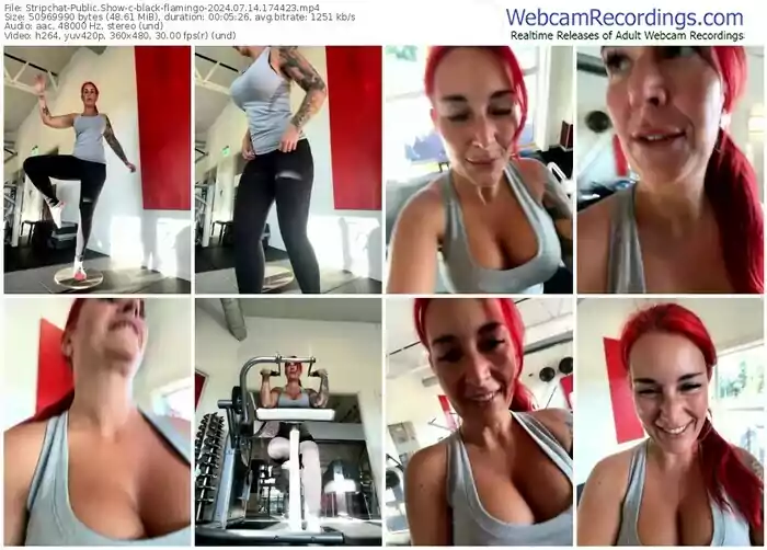 2024/07/14/stripchat-black-flamingo-17-44-23