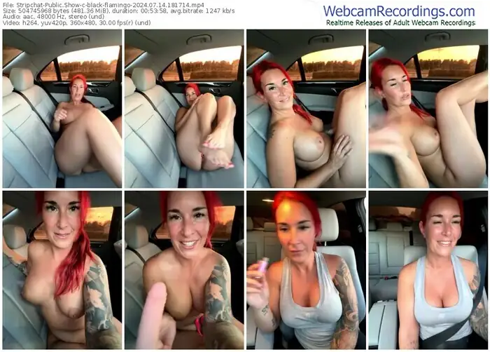 2024/07/14/stripchat-black-flamingo-18-17-14