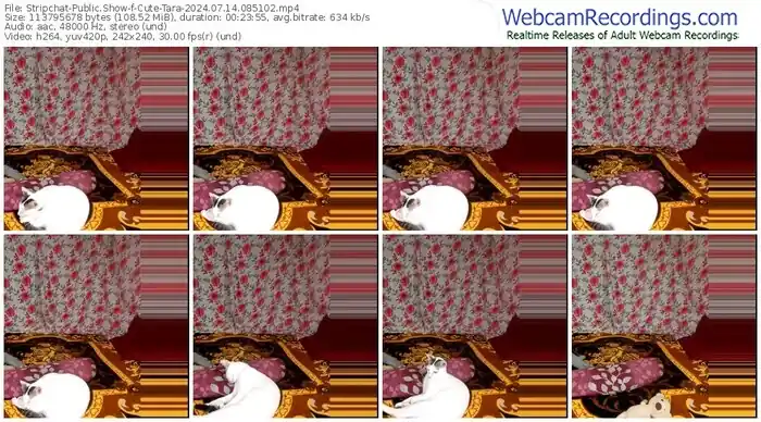 2024/07/14/stripchat-cute-tara-08-51-02