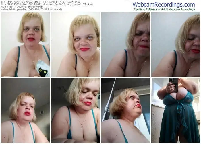 2024/07/14/stripchat-midget-tits-15-42-25