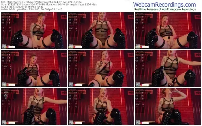 2024/07/14/stripchat-vortexproject-14-24-10