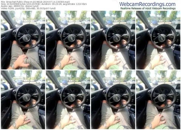 2024/07/14/stripchat-jk1981jk-13-03-00