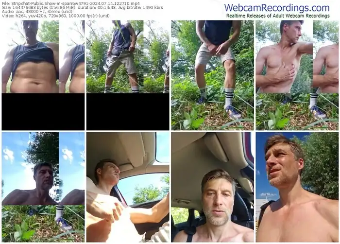 2024/07/14/stripchat-sparrow4791-12-27-10