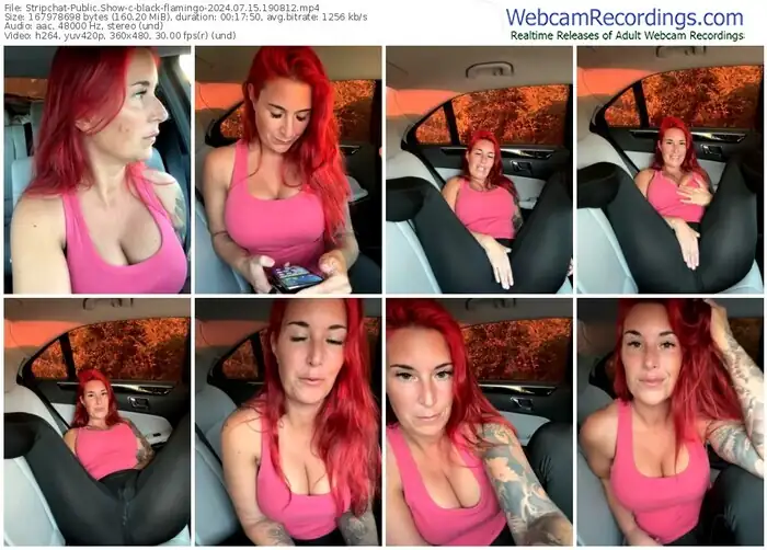 2024/07/15/stripchat-black-flamingo-19-08-12