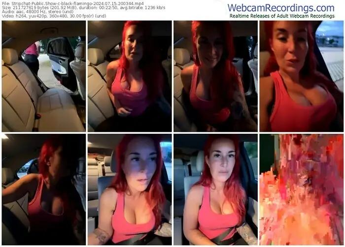 2024/07/15/stripchat-black-flamingo-20-03-44