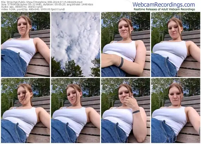 2024/07/15/stripchat-morphine_666-08-44-29