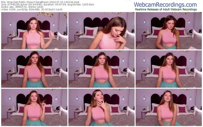 2024/07/15/stripchat-zarabloom-16-21-04