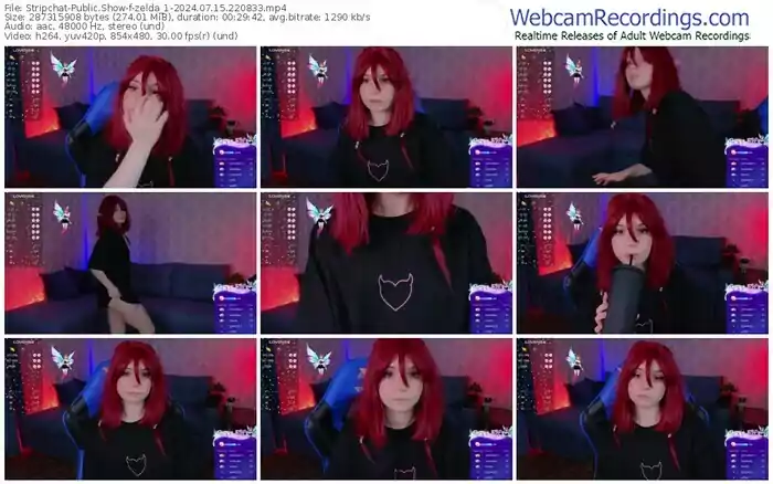 2024/07/15/stripchat-zelda_1-22-08-33