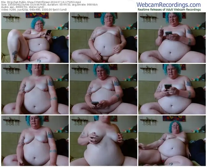 2024/07/16/stripchat-potofgreer-17-50-53