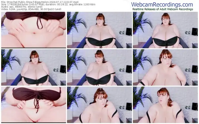 2024/07/17/stripchat-biggymelon-12-21-07