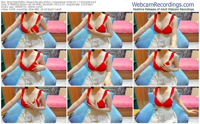 2024/07/17/stripchat-toyota_motor_corporation-03-19-28