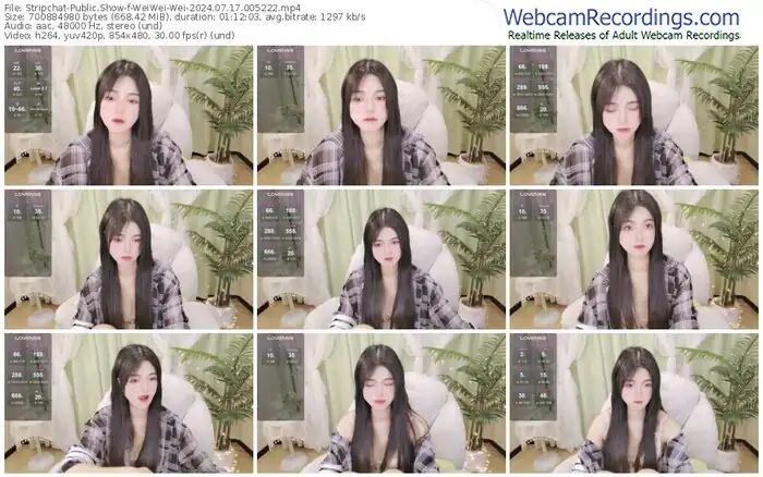 2024/07/17/stripchat-weiwei-wei-00-52-22