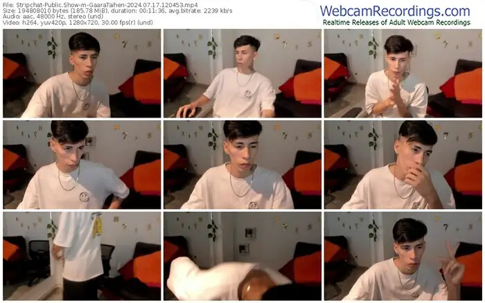 2024/07/17/stripchat-gaarataihen-12-04-53