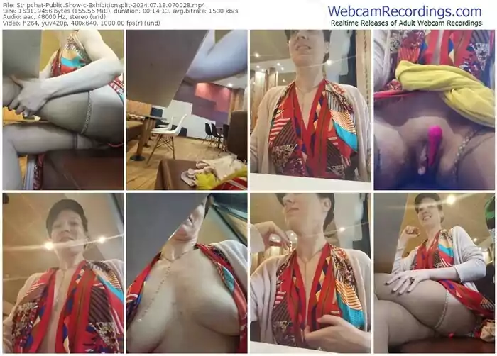 2024/07/18/stripchat-exhibitionsplit-07-00-28