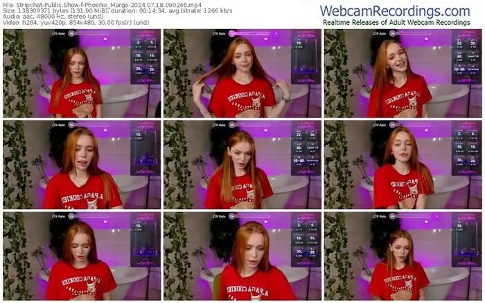 2024/07/18/stripchat-phoenix_margo-09-02-46