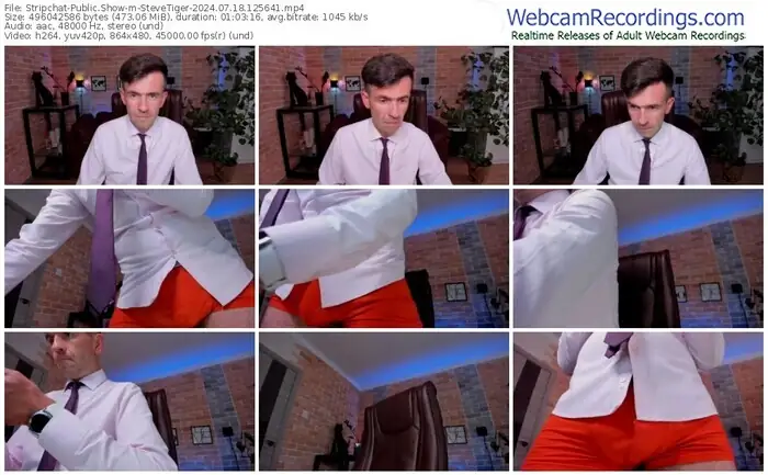 2024/07/18/stripchat-stevetiger-12-56-41