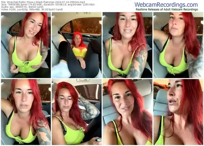 2024/07/19/stripchat-black-flamingo-09-56-16
