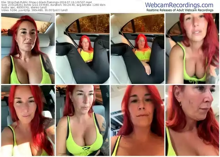 2024/07/19/stripchat-black-flamingo-10-15-07