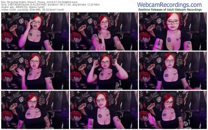2024/07/20/stripchat-_pixies_-06-48-04