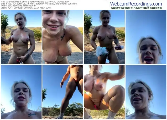 2024/07/21/stripchat-pennyprincess-17-30-21