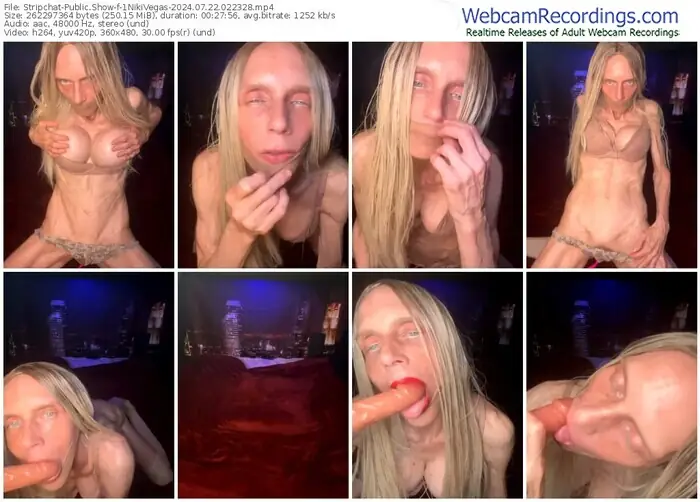 2024/07/22/stripchat-1nikivegas-02-23-28