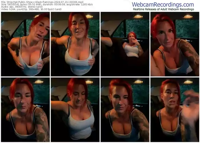 2024/07/23/stripchat-black-flamingo-19-33-06