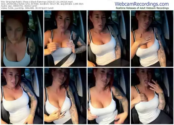 2024/07/23/stripchat-black-flamingo-19-42-16
