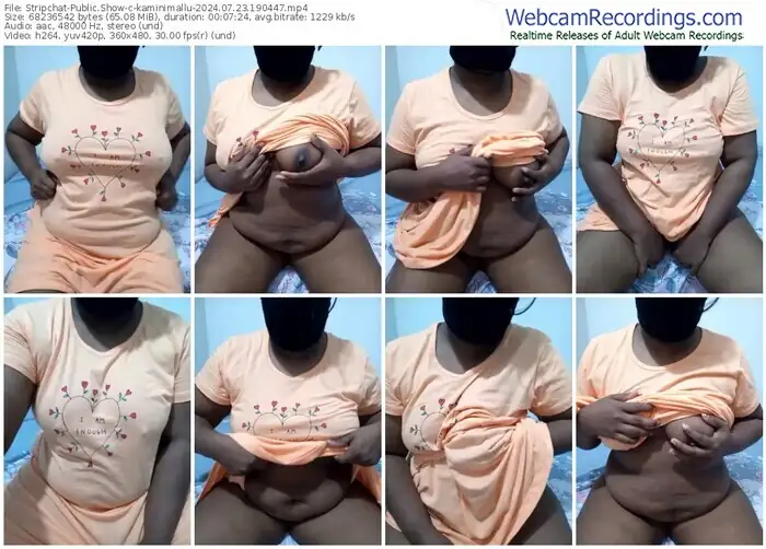 2024/07/23/stripchat-kaminimallu-19-04-47