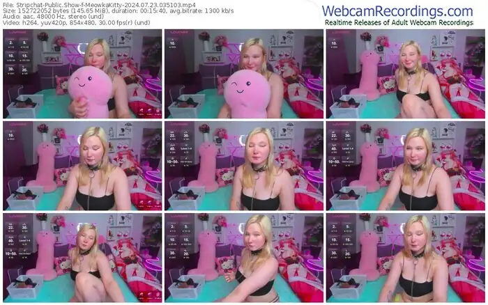 2024/07/23/stripchat-meowkakitty-03-51-03