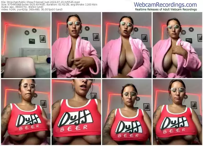 2024/07/23/stripchat-seized_lust-02-55-45