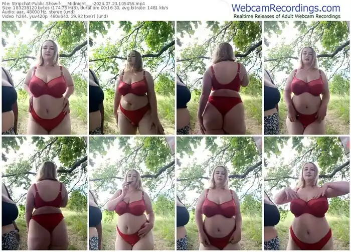 2024/07/23/stripchat-___midnight___-10-54-56