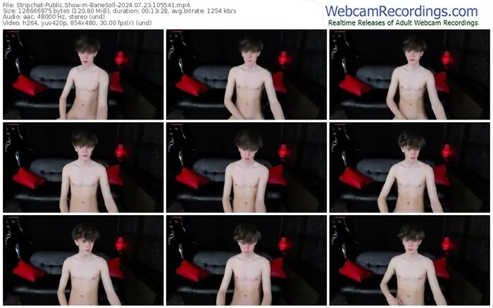 2024/07/23/stripchat-banesoll-10-55-41