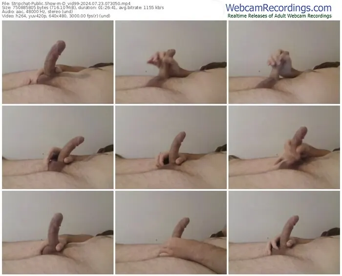 2024/07/23/stripchat-d_vid99-07-30-50