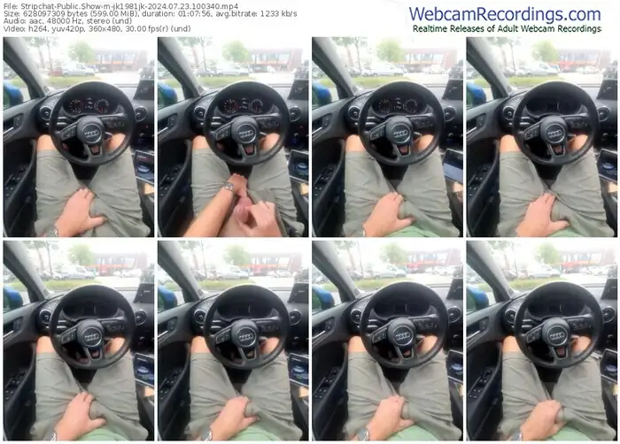 2024/07/23/stripchat-jk1981jk-10-03-40