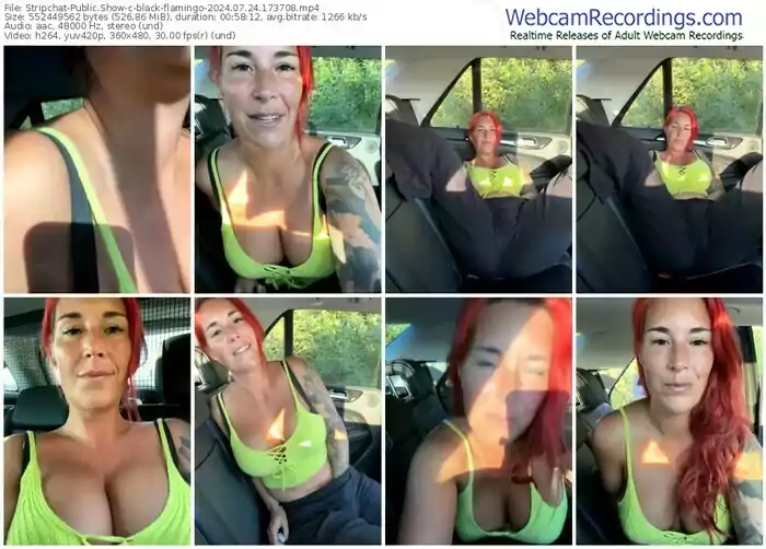 2024/07/24/stripchat-black-flamingo-17-37-08