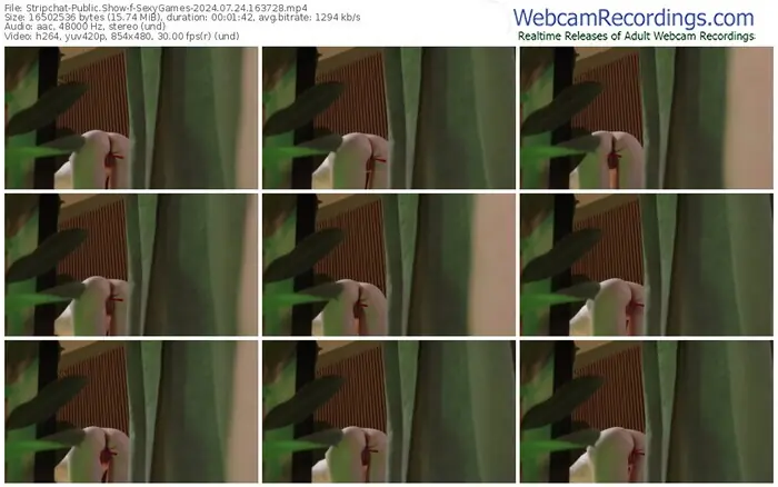 2024/07/24/stripchat-sexygames-16-37-28