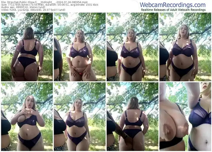 2024/07/24/stripchat-___midnight___-08-09-54