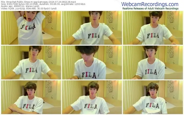 2024/07/24/stripchat-gaygamogey-08-21-28